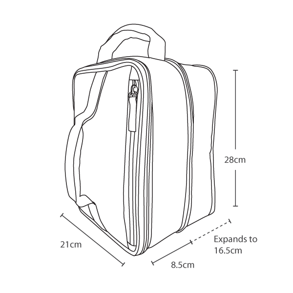 Arctic Zone Expandable Lunch Pack Cactus