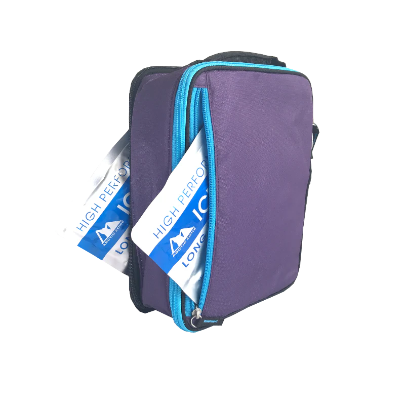 Arctic Zone Expandable Lunch Pack Logan